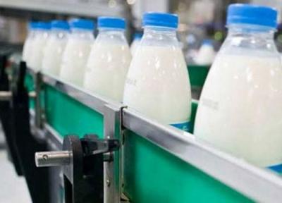 بازگشت 3 تا 5 هزار تن شیر به کارخانه های لبنی در یک روز