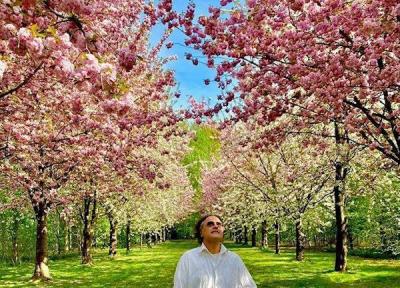 بازیگر روزگار جوانی در طبیعت بهاری