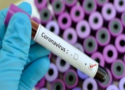 خبرنگاران نحوه اثرگذاری عوامل ژنتیکی بر درمان کووید 19