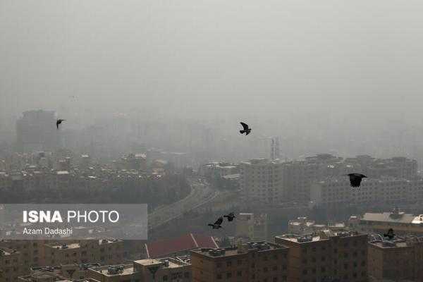3 منبع بیشترین عامل آلودگی هوای کلانشهرها ، لزوم اجرای قانون 3 منبع بیشترین عامل آلودگی هوای کلانشهرها ، لزوم اجرای قانون هوای پاک بدون هیچ ملاحظه