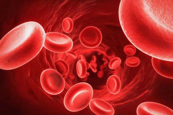 پلاکت های خون را چگونه افزایش دهیم؟