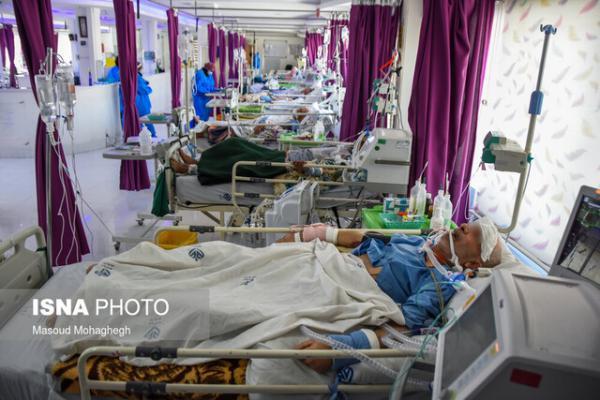 نگرانی رئیس دانشگاه علوم پزشکی ایلام از پر شدن ظرفیت تخت های بیماران کرونایی