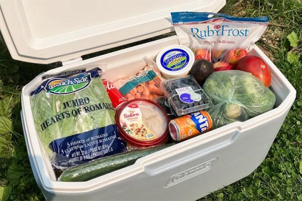 برترین یخدان های کمپینگ برای نگهداری غذا و نوشیدنی در سفر